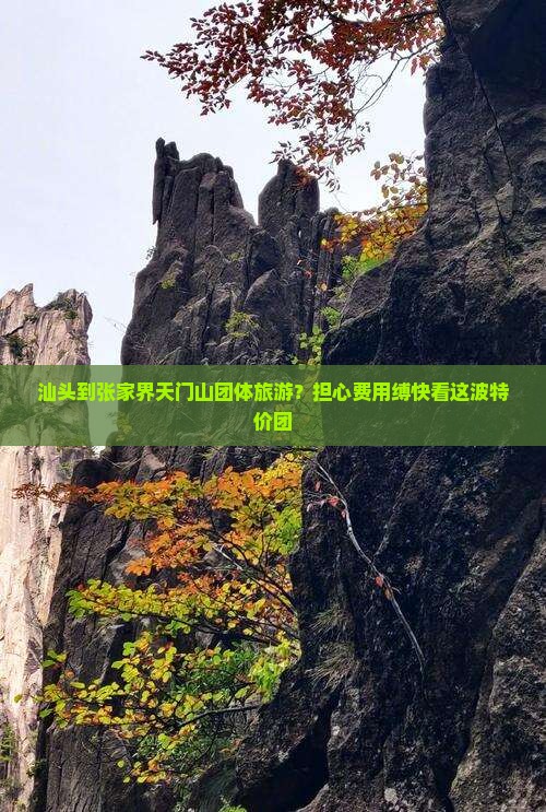 汕头到张家界天门山团体旅游？担心费用缚快看这波特价团