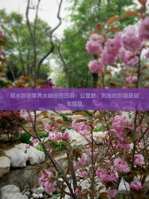 丽水到张家界大峡谷四日游：公里数、列车时刻表及动车信息