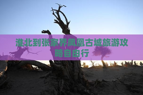 淮北到张家界凤凰古城旅游攻略自由行