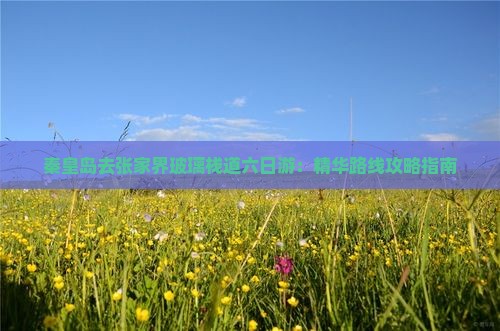 秦皇岛去张家界玻璃栈道六日游：精华路线攻略指南