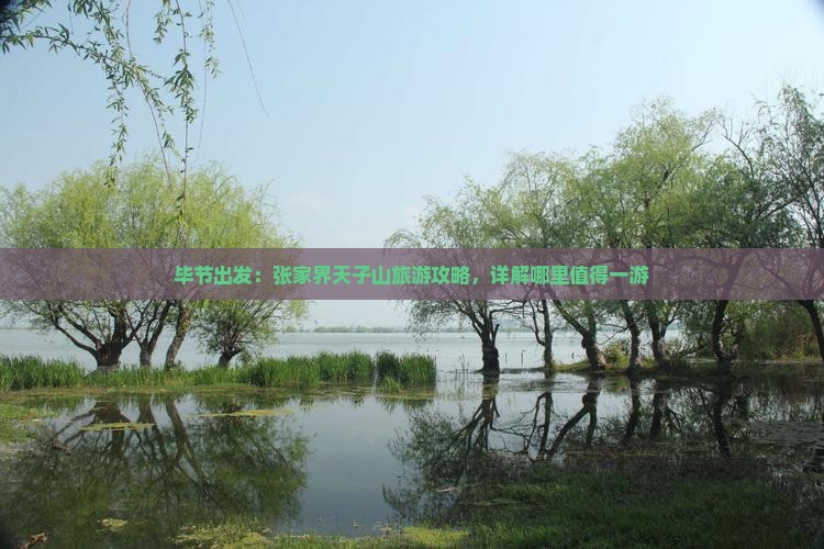 毕节出发：张家界天子山旅游攻略，详解哪里值得一游