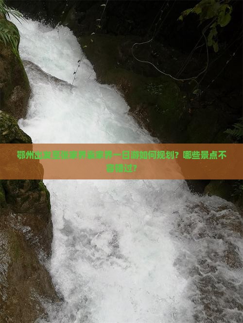 鄂州出发至张家界袁家界一日游如何规划？哪些景点不容错过？