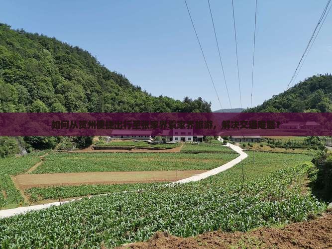 如何从贺州便捷出行至张家界袁家界旅游，解决交通难题？