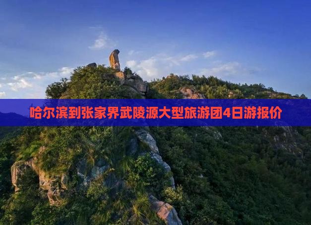 哈尔滨到张家界武陵源大型旅游团4日游报价