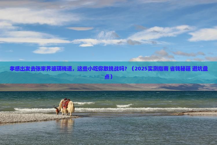 孝感去张家界玻璃栈道旅游小吃