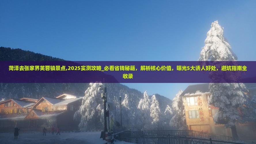 菏泽去张家界芙蓉镇景点