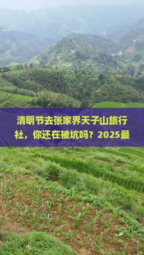 清明节去张家界天子山旅行社