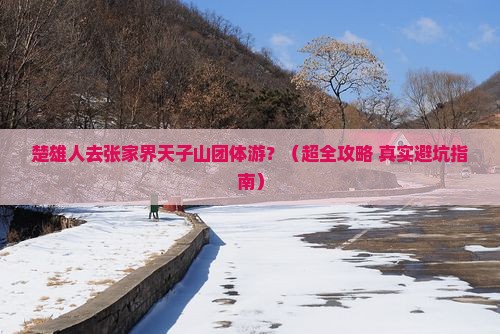 楚雄去张家界天子山团体旅游