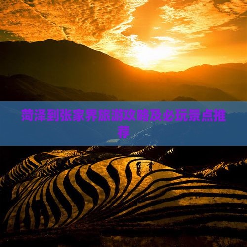菏泽去张家界哪里玩