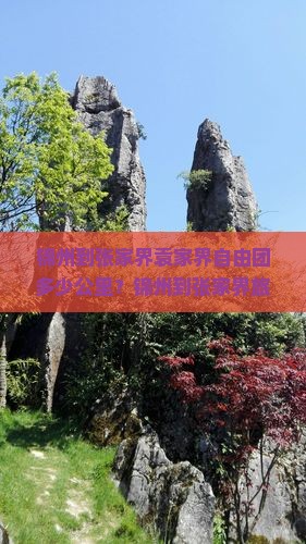 锦州到张家界袁家界自由团 锦州到张家界袁家界自由团