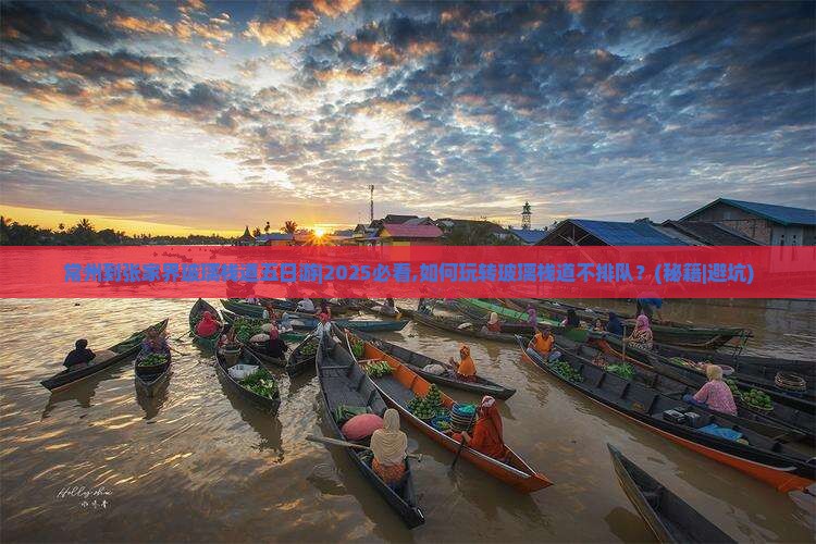 常州到张家界玻璃栈道五日游