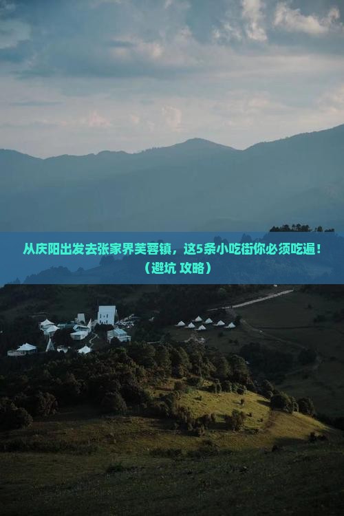 庆阳去张家界芙蓉镇旅游小吃
