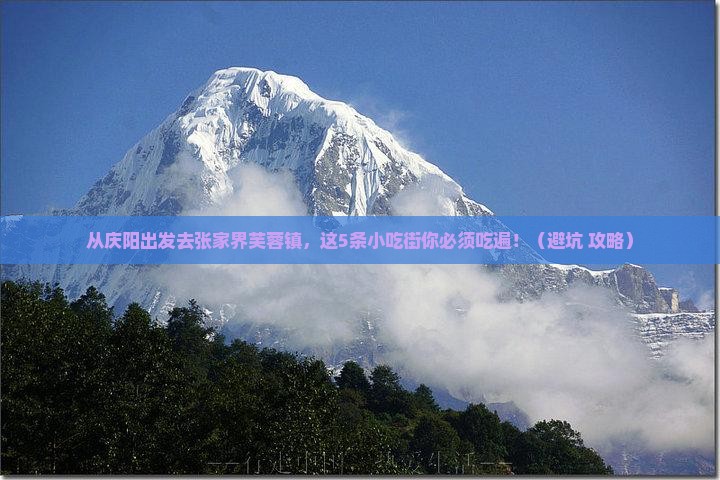 庆阳去张家界芙蓉镇旅游小吃