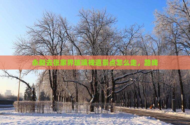 永新去张家界玻璃栈道景点