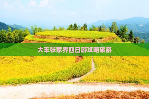 大丰去张家界四日游