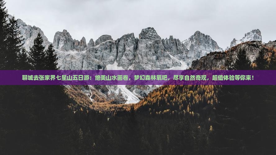 聊城去张家界七星山五日游