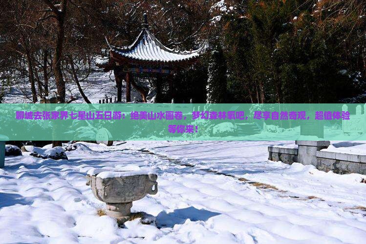 聊城去张家界七星山五日游