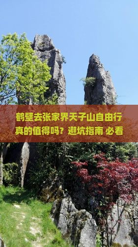 鹤壁去张家界天子山自由行