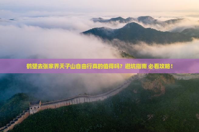 鹤壁去张家界天子山自由行