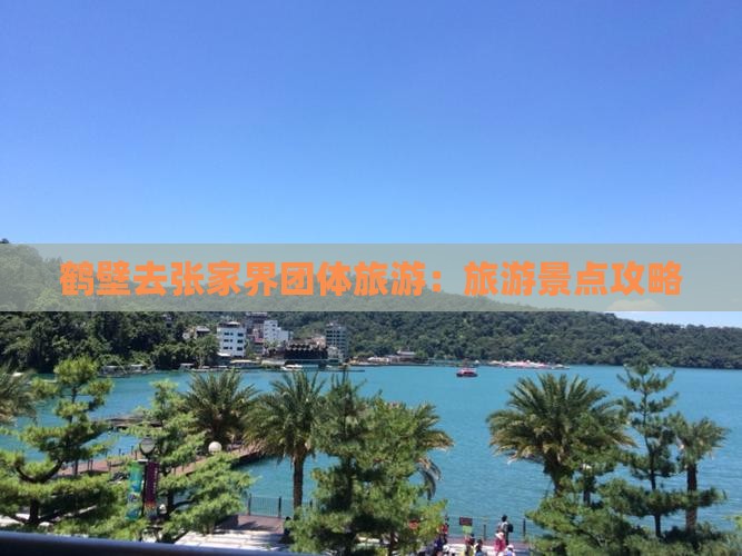 鹤壁去张家界团体旅游