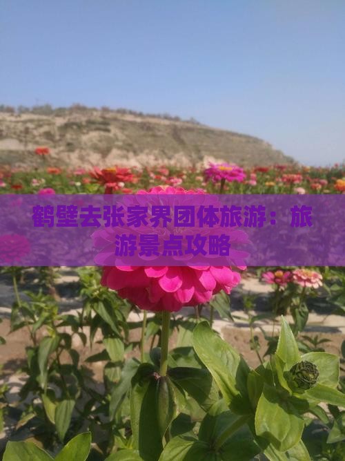 鹤壁去张家界团体旅游