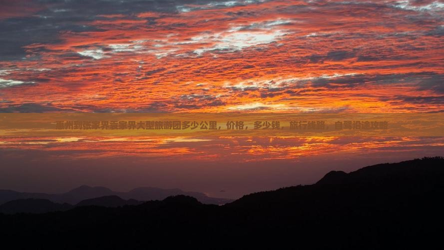 惠州到张家界袁家界大型旅游团