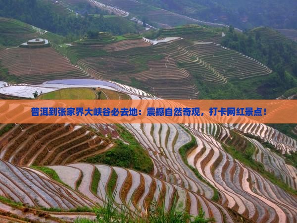 普洱到张家界大峡谷必去地