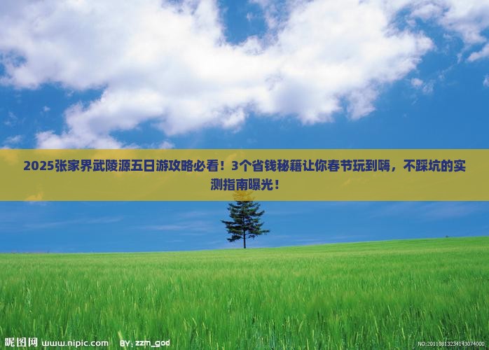 春节到张家界武陵源五日游