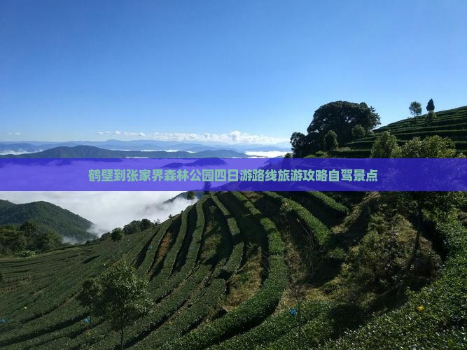 鹤壁到张家界森林公园四日游