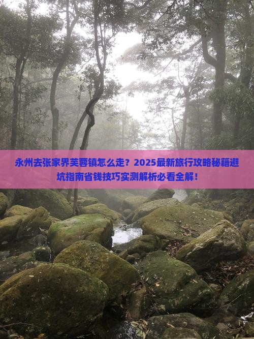 永州去张家界芙蓉镇旅行社