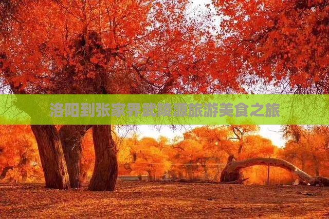 洛阳到张家界武陵源旅游小吃