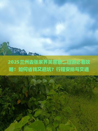 兰州去张家界芙蓉镇二日游