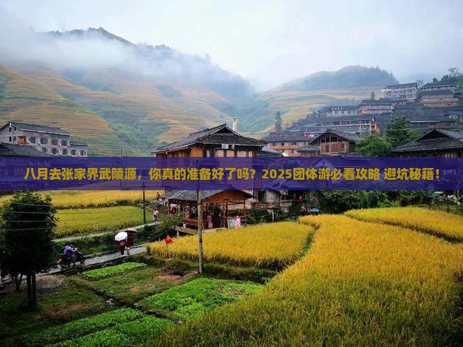 八月去张家界武陵源团体旅游