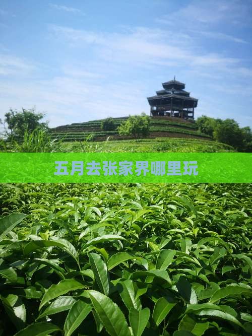 五月去张家界哪里玩
