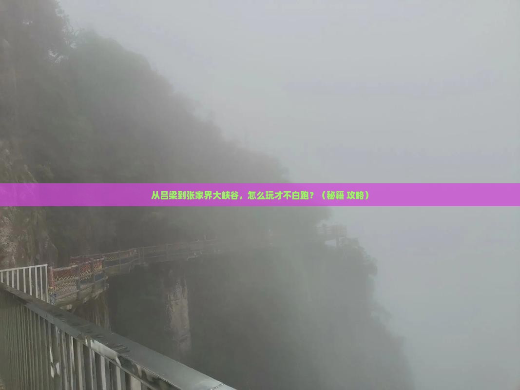 吕梁去张家界大峡谷哪里玩