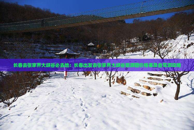 长春去张家界大峡谷必去地