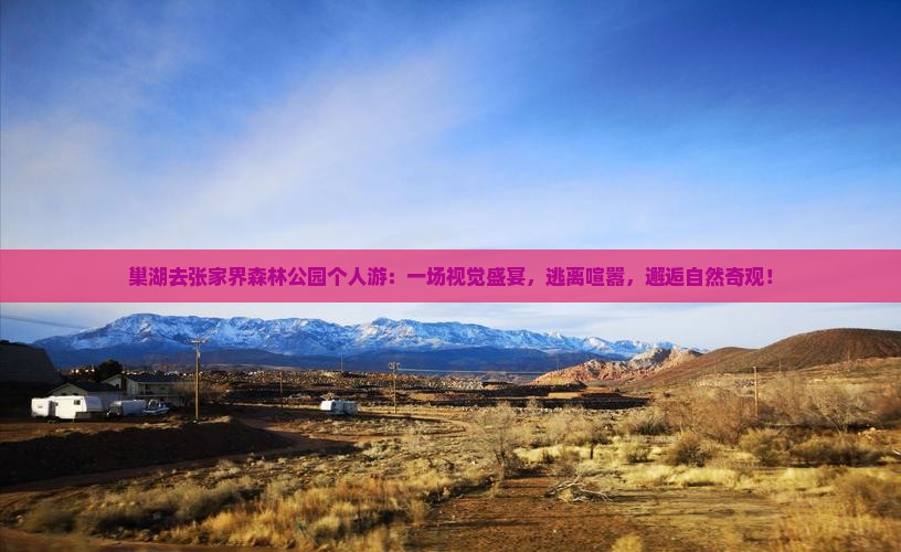 巢湖去张家界森林公园个人游