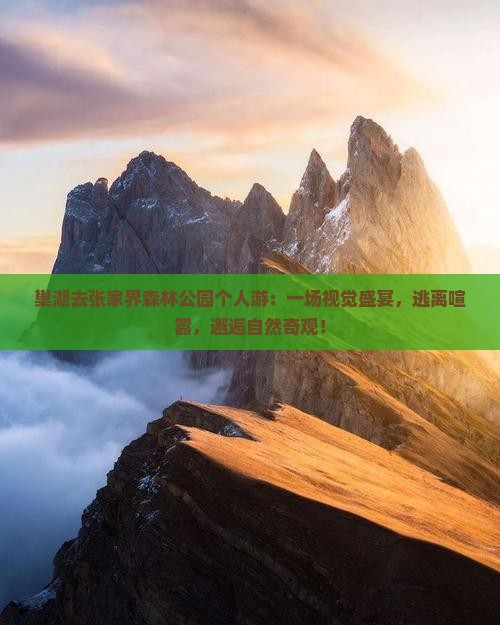 巢湖去张家界森林公园个人游