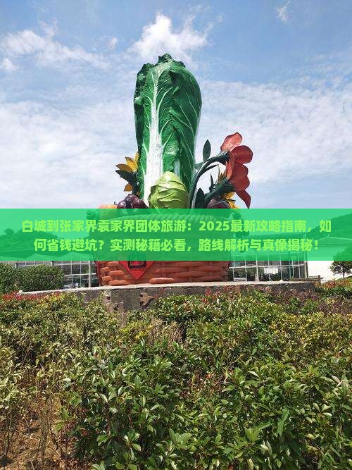 白城到张家界袁家界团体旅游