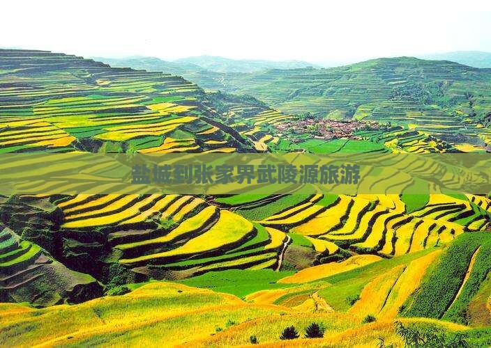 盐城到张家界武陵源旅游