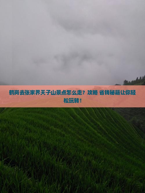鹤岗去张家界天子山景点