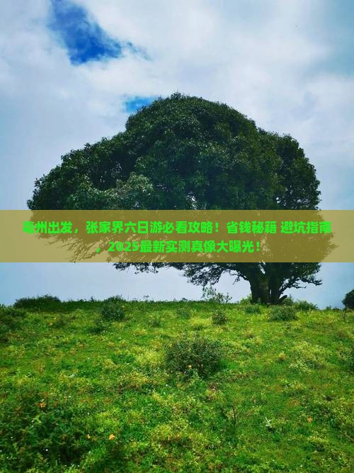 亳州到张家界六日游