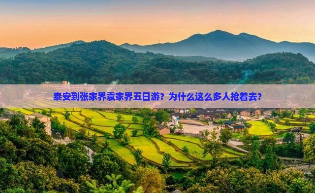 泰安到张家界袁家界五日游