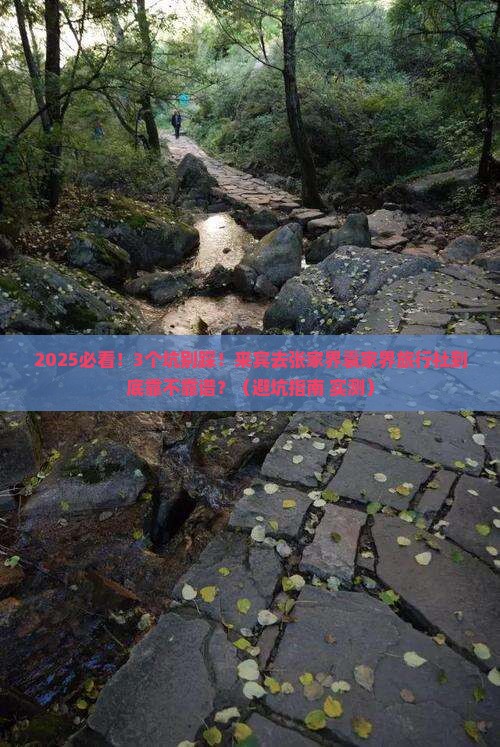 来宾去张家界袁家界旅行社