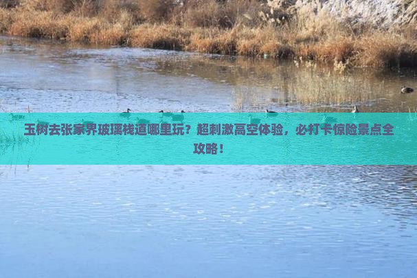 玉树去张家界玻璃栈道哪里玩