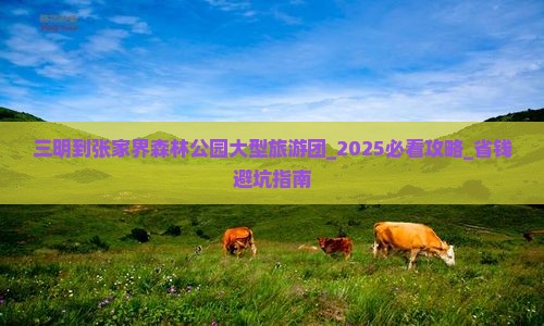 三明到张家界森林公园大型旅游团