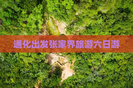 通化去张家界袁家界六日游