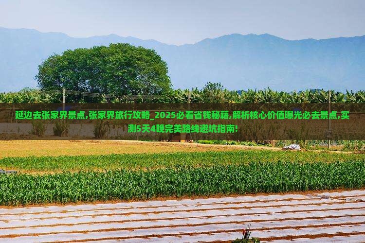 延边去张家界景点