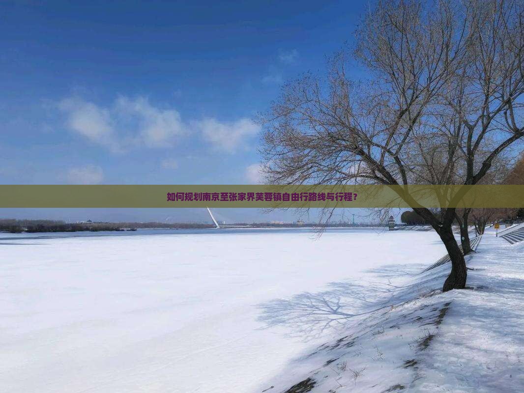 如何规划南京至张家界芙蓉镇自由行路线与行程？
