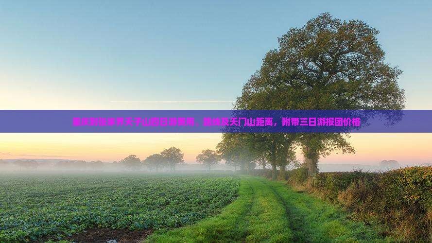 重庆到张家界天子山四日游费用、路线及天门山距离，附带三日游报团价格